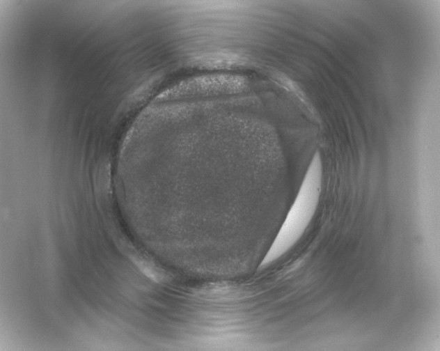 X0000065260589200603172232