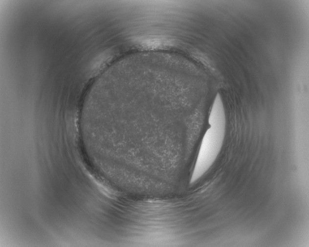 X0000065260590200603172232