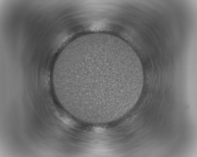 X0000065260592200603172232