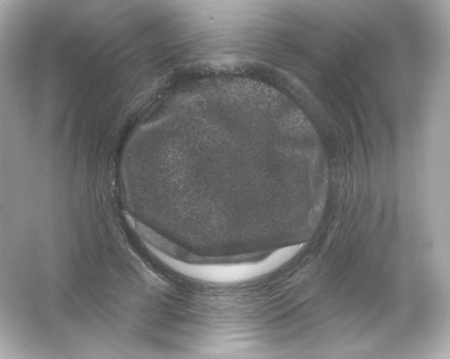 X0000065260593200603172232