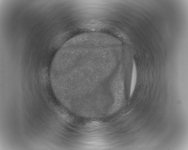 X0000065260594200603172232