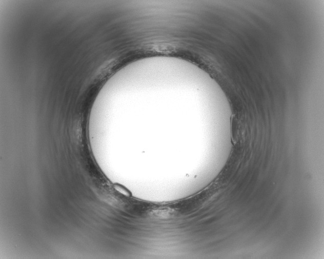 X0000065260595200603172232