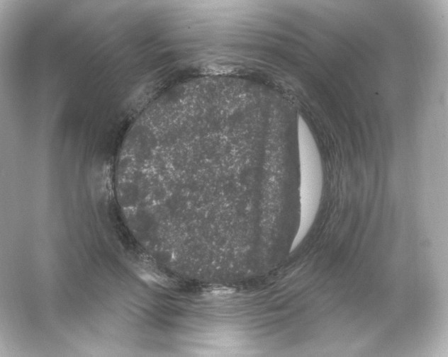 X0000065260598200603172232