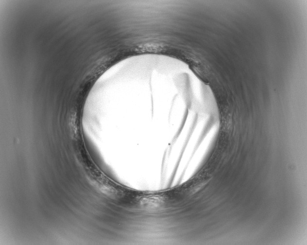 X0000065260599200603172232