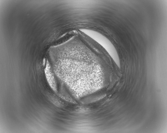 X0000065260601200603172232