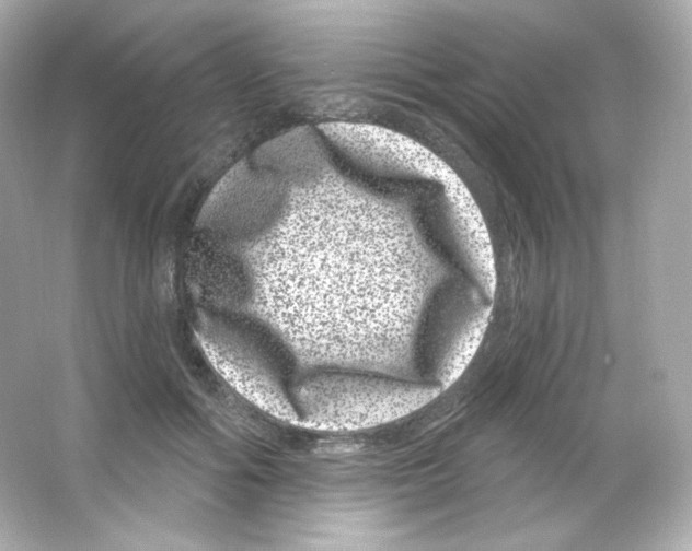 X0000065260602200603172232