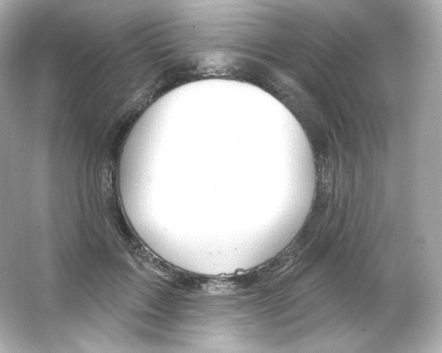 X0000065260603200603172232