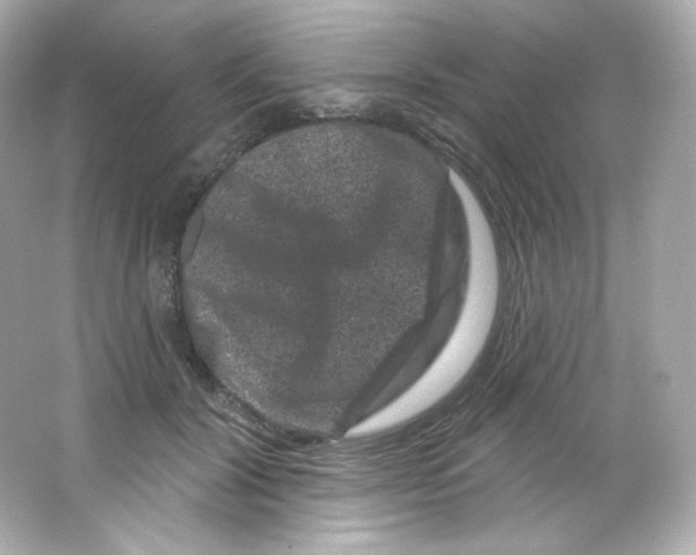 X0000065260604200603172232