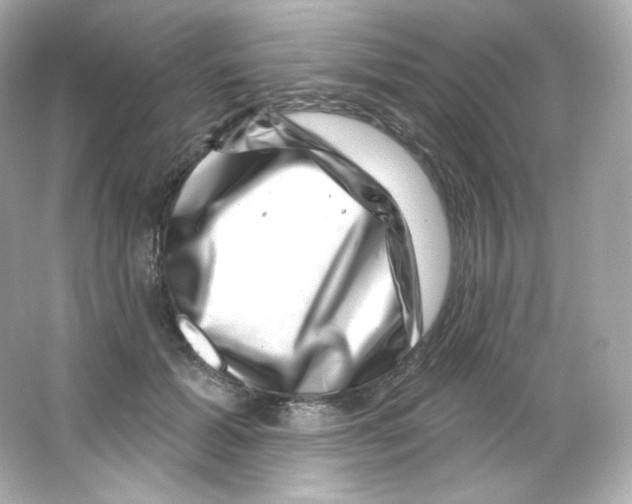 X0000065260605200603172232