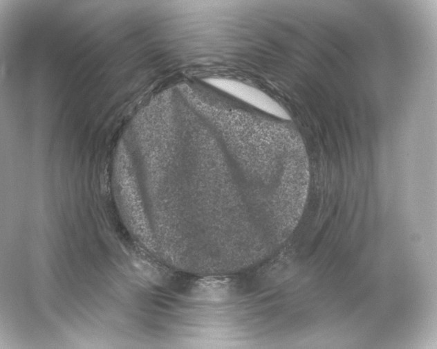 X0000065260606200603172232