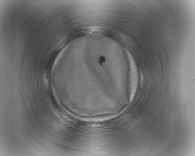 X0000065260607200603172232