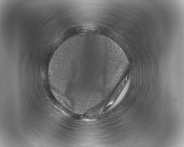 X0000065260608200603172232