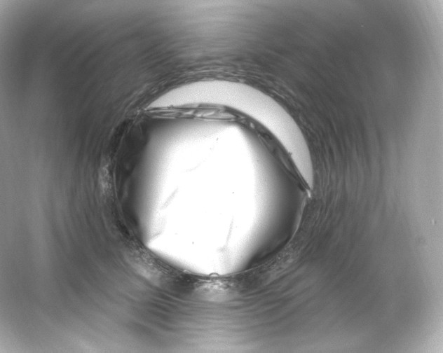 X0000065260611200603172232