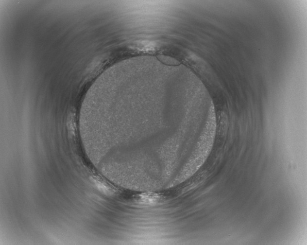 X0000065260612200603172232