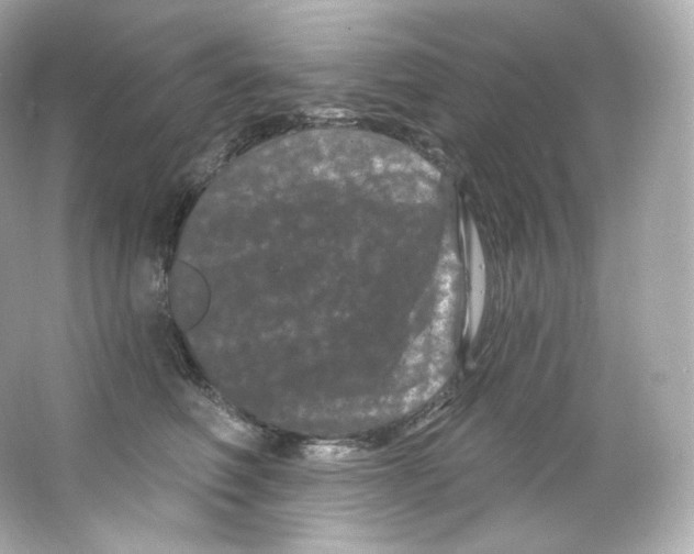 X0000065260614200603172232