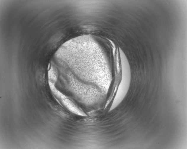 X0000065260615200603172232