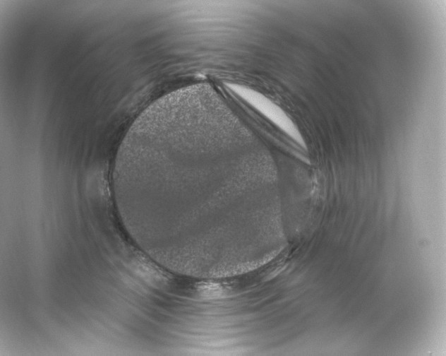 X0000065260616200603172232