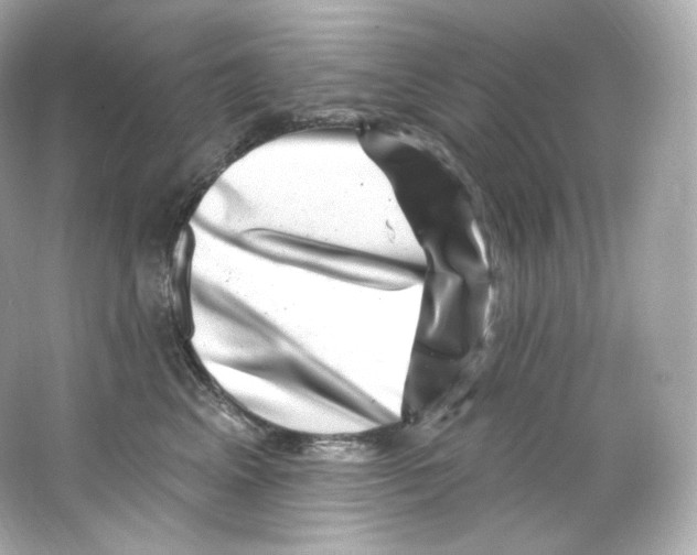 X0000065260617200603172232