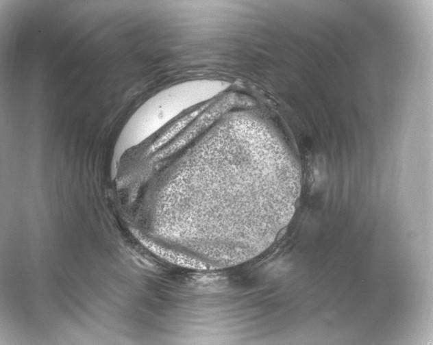 X0000065260619200603172232