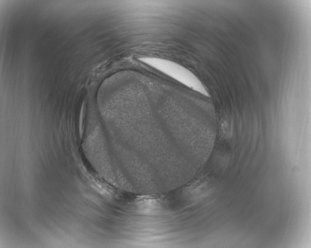 X0000065260620200603172232