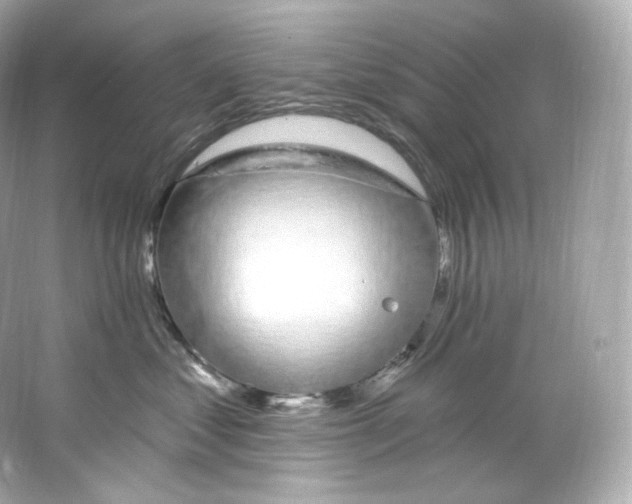 X0000065260621200603172232