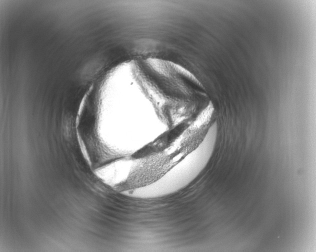 X0000065260623200603172232