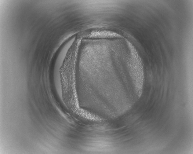 X0000065260626200603172231