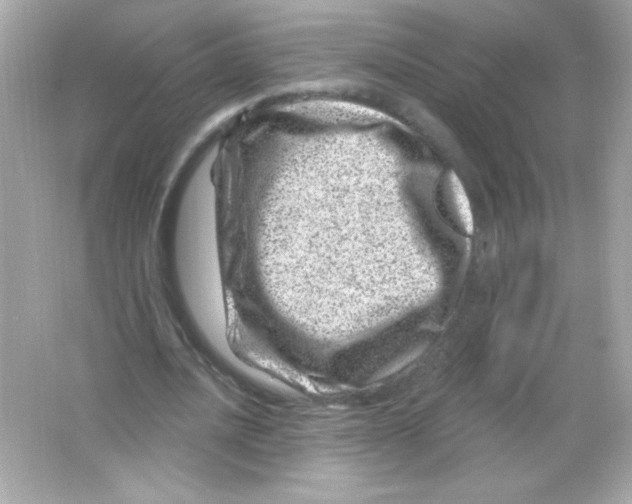 X0000065260628200603172231