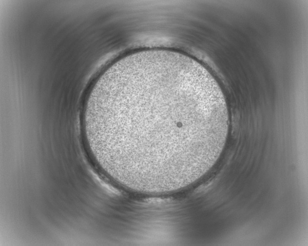 X0000065260629200603172231