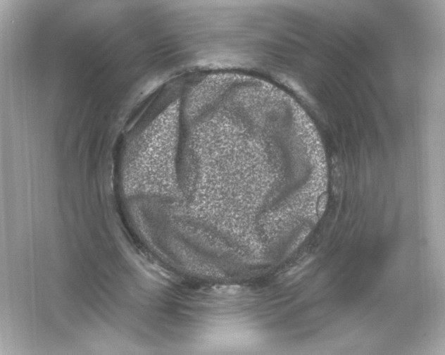 X0000065260631200603172231