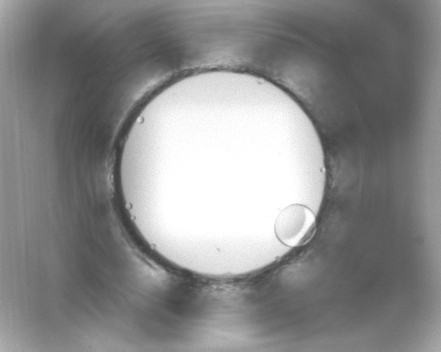 X0000065260632200603172231