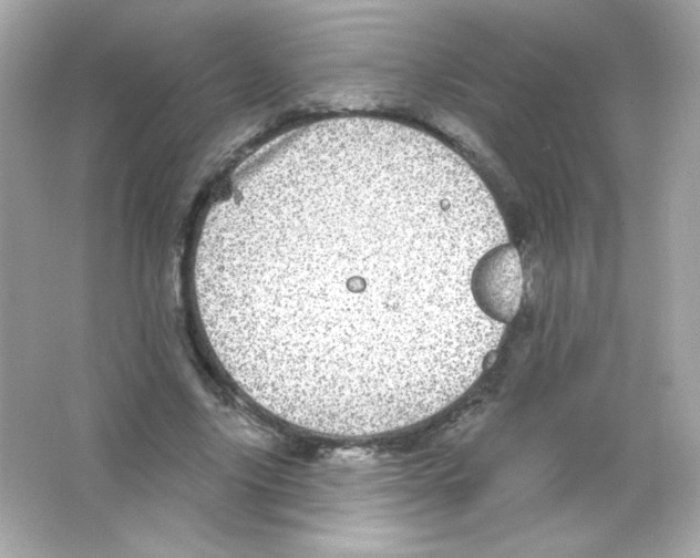 X0000065260635200603172231