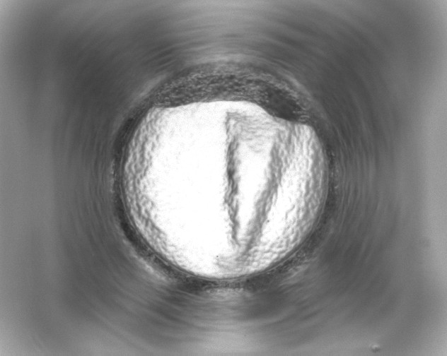 X0000065260637200603172231