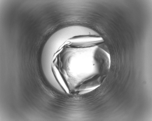 X0000065260639200603172231