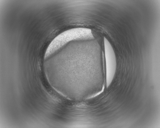 X0000065260643200603172231