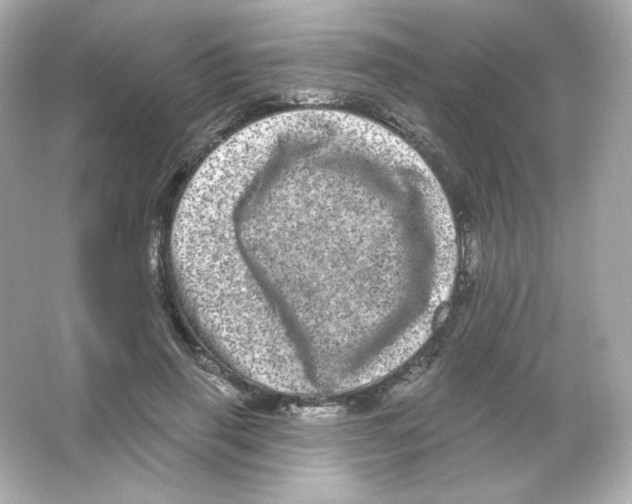 X0000065260645200603172231