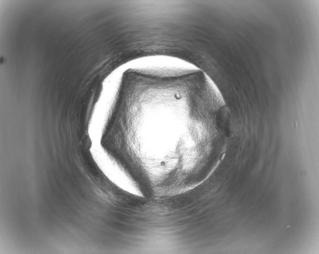 X0000065260648200603172231