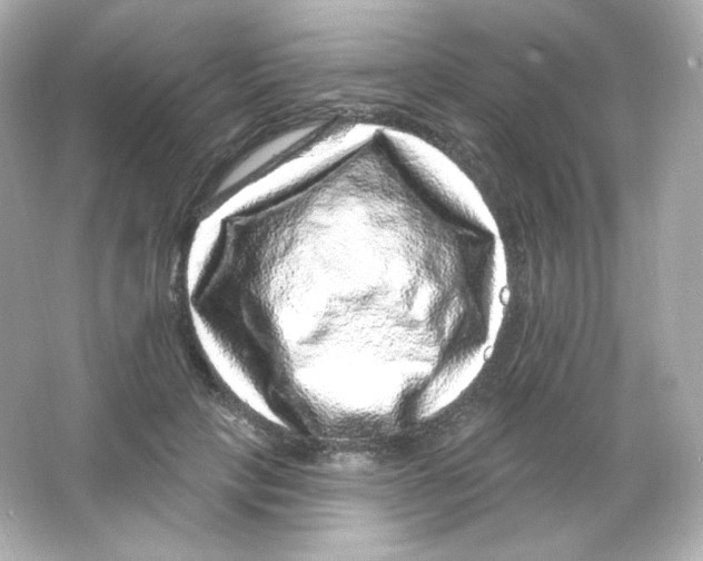 X0000065260649200603172231