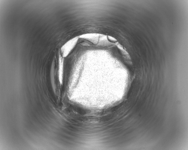 X0000065260651200603172231