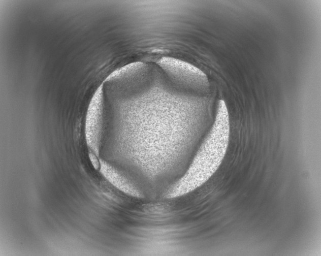 X0000065260652200603172231