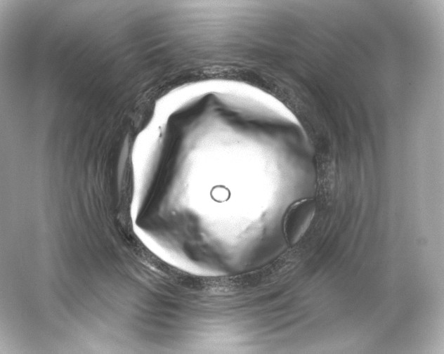 X0000065260653200603172231