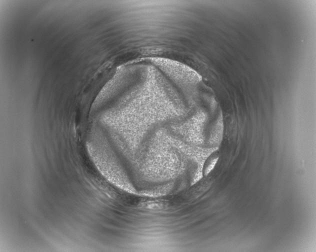 X0000065260655200603172232