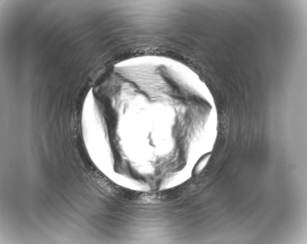 X0000065260657200603172232