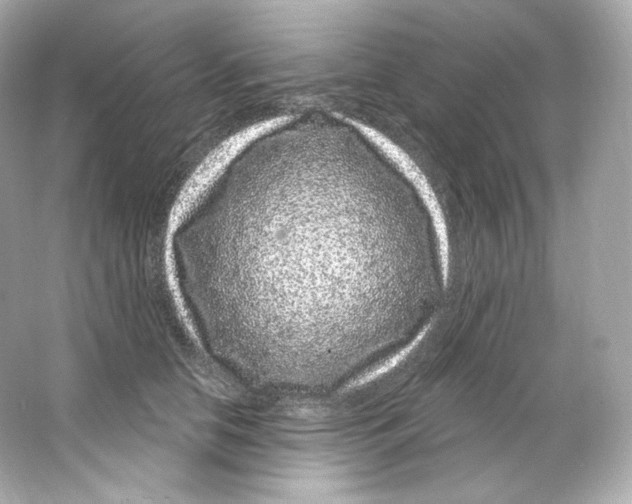 X0000065260658200603172232