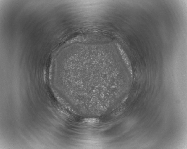 X0000065260659200603172232