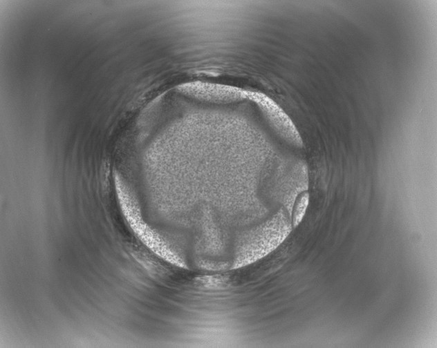 X0000065260660200603172232