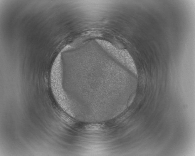 X0000065260661200603172232