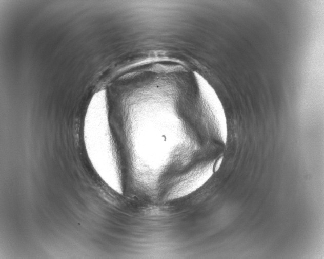 X0000065260664200603172232