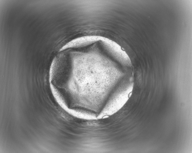 X0000065260668200603172232