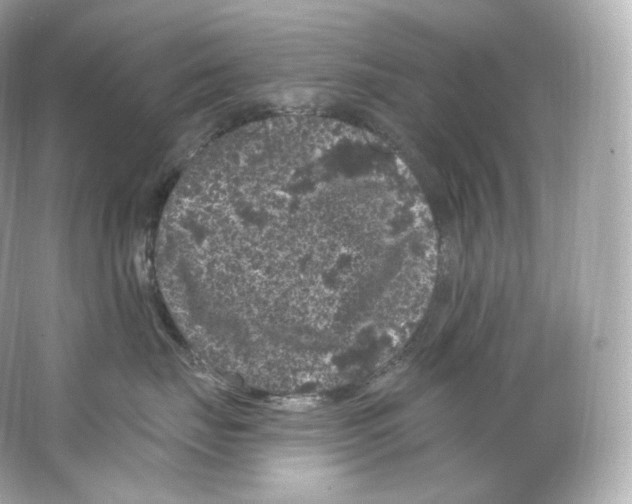 X0000065260671200603172232